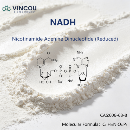 NADH CAS：606-68-8