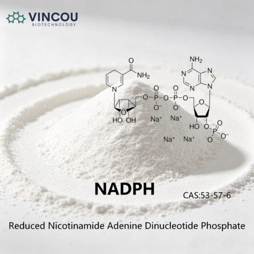 NADPH CAS：53-57-6