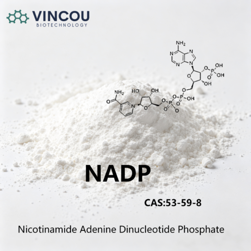 NADP CAS:53-59-8