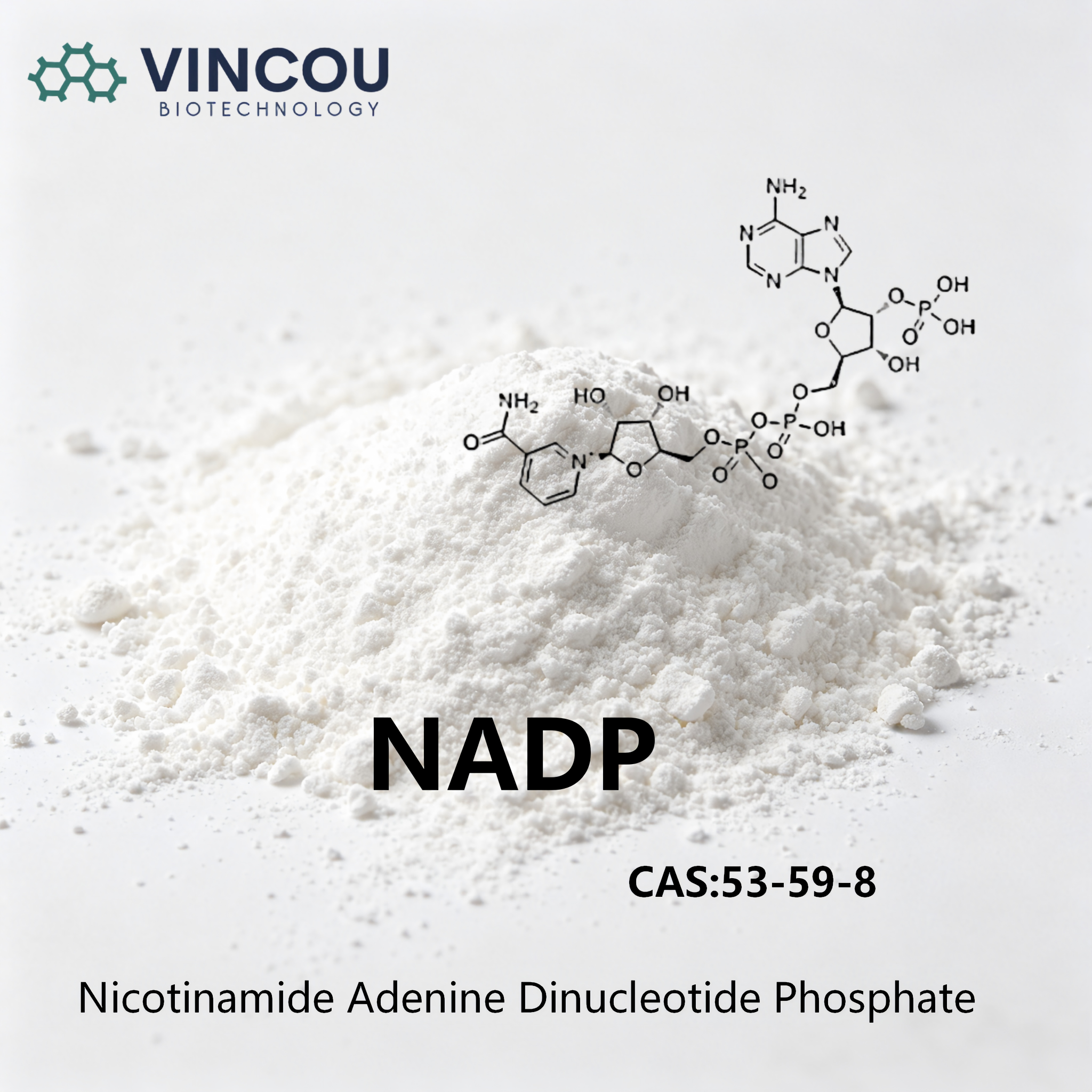 NADP CAS:53-59-8